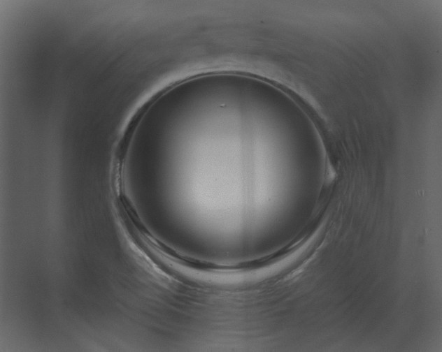 X0000070171510200605301312
