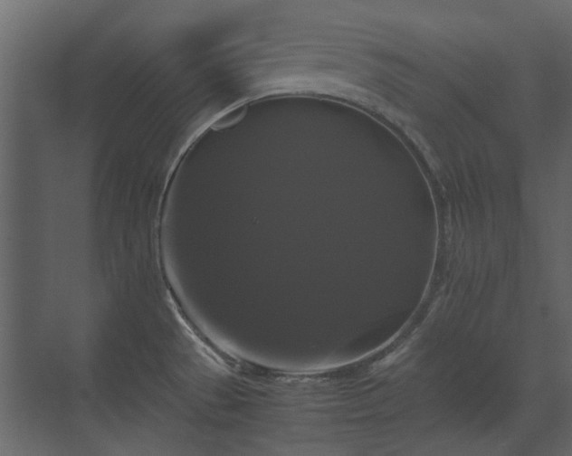 X0000070171529200605301312