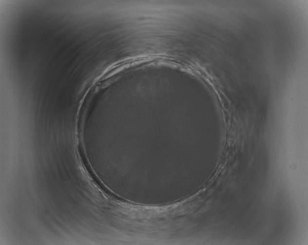X0000070170002200606021109