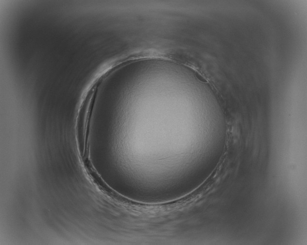 X0000070170006200606021109