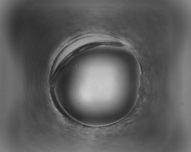 X0000070170007200606021109