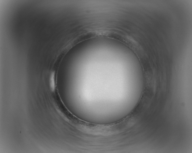 X0000070170028200606021109