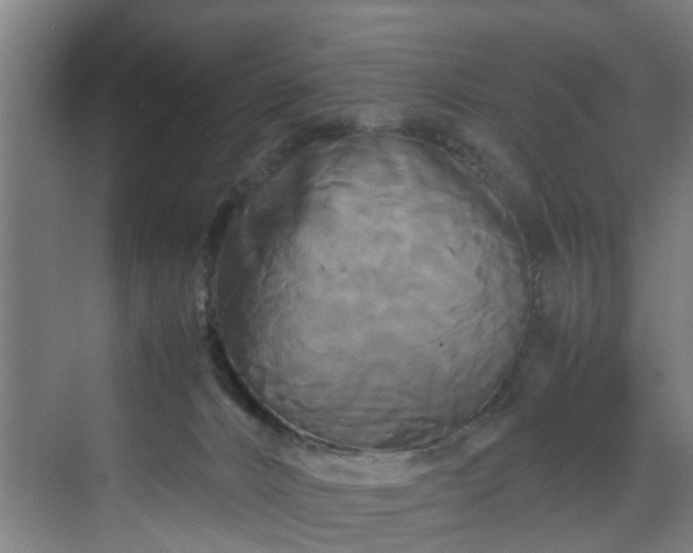 X0000070170032200606021109