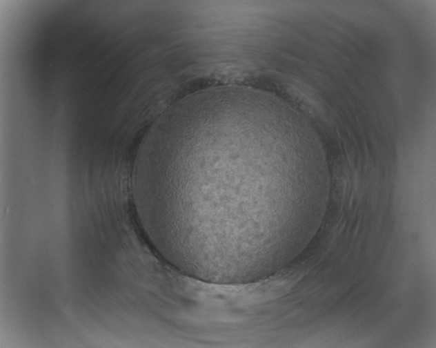 X0000070170034200606021109