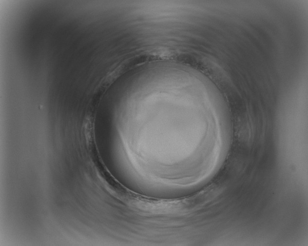 X0000070170036200606021109
