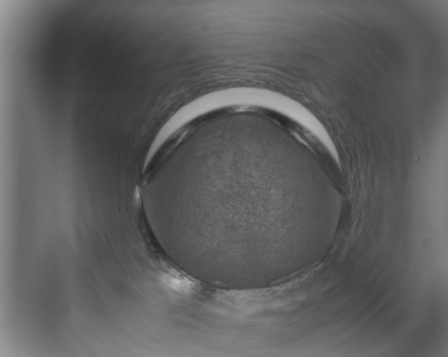 X0000070170041200606021109