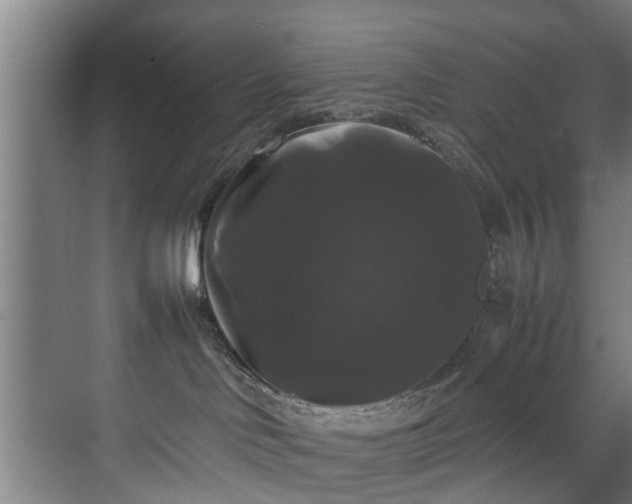 X0000070170046200606021108