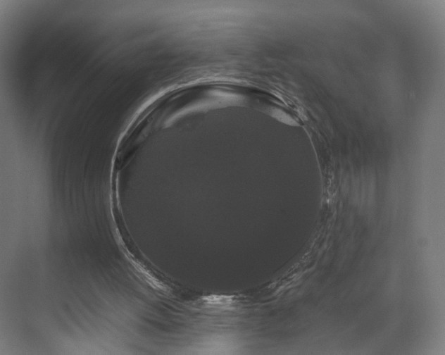 X0000070170052200606021108