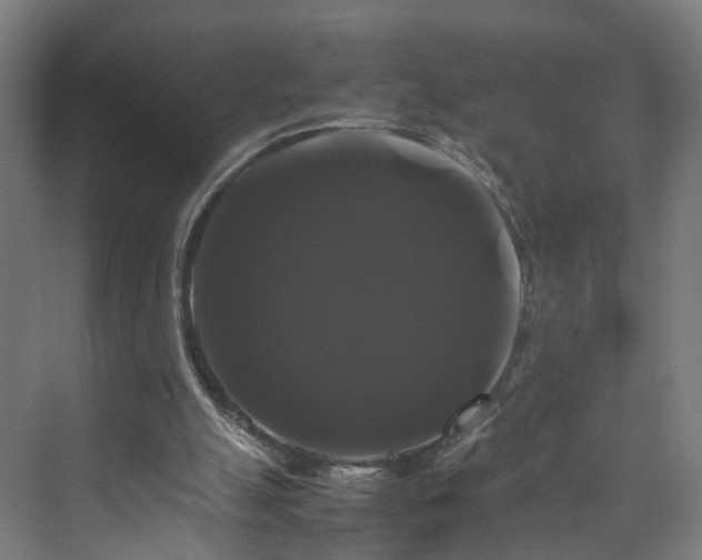 X0000070170055200606021108