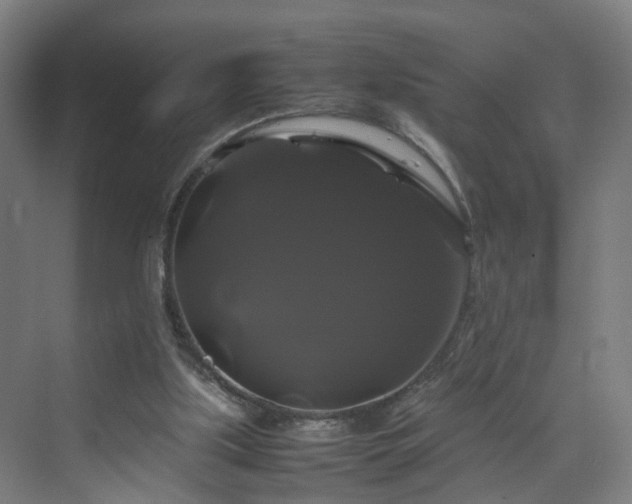 X0000070170059200606021108