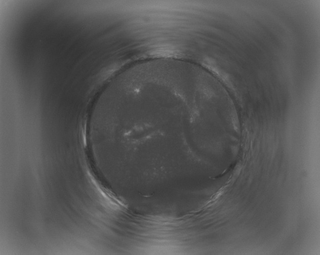 X0000070170062200606021108