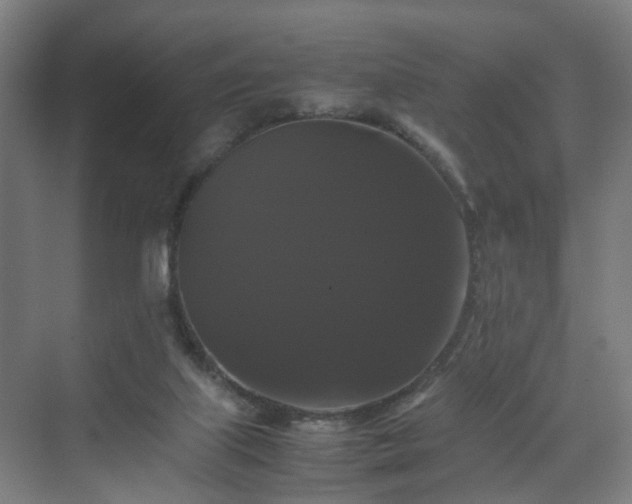 X0000070170067200606021108