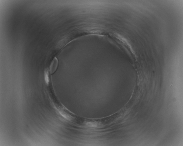 X0000070170069200606021108