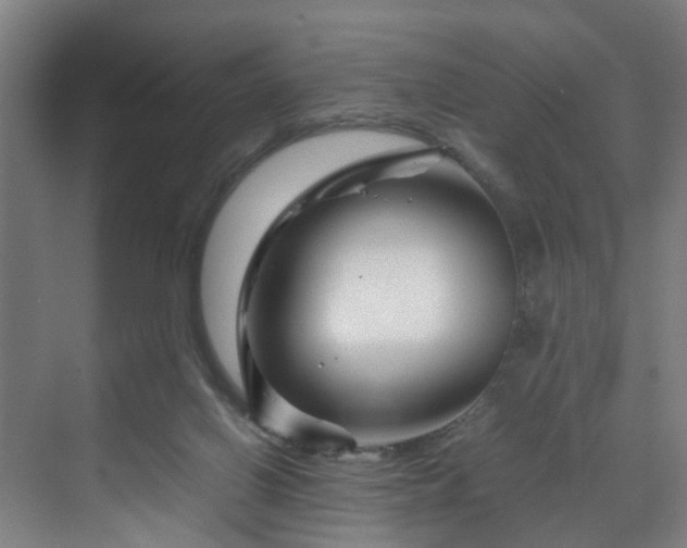 X0000070170070200606021108