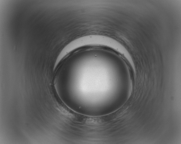 X0000070170077200606021108