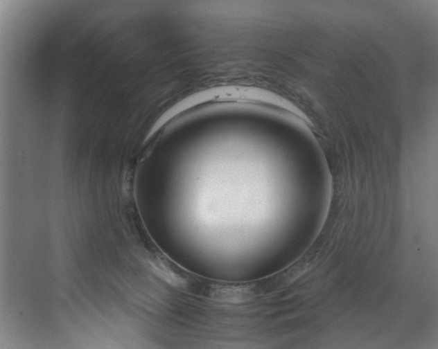 X0000070170081200606021108