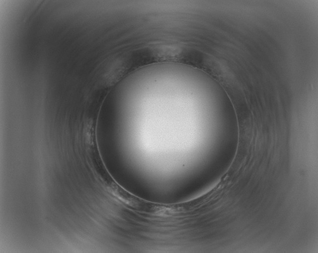 X0000070170083200606021108