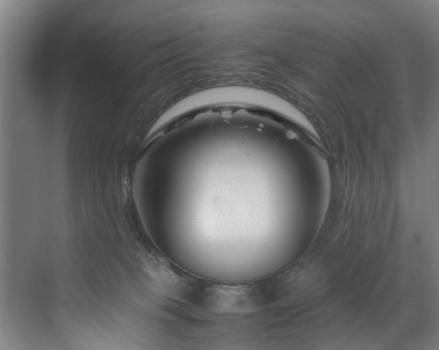 X0000070170085200606021108