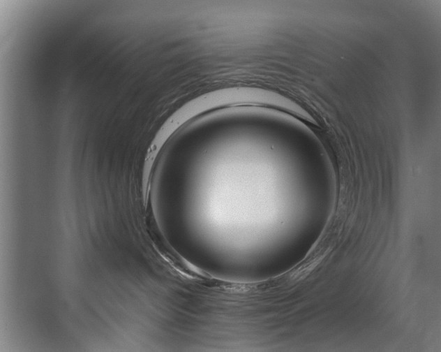 X0000070170096200606021108