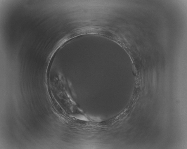X0000070170099200606021108