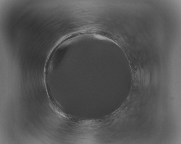X0000070170100200606021108