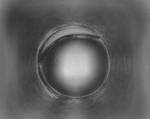 X0000070170102200606021107
