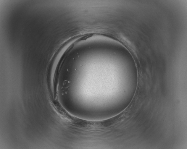X0000070170107200606021107