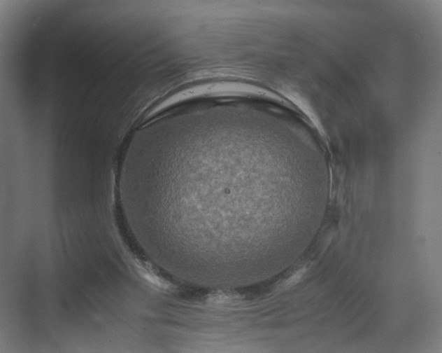 X0000070170109200606021107