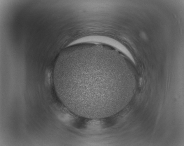 X0000070170123200606021107