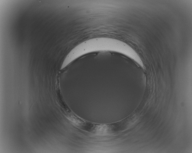 X0000070170127200606021107
