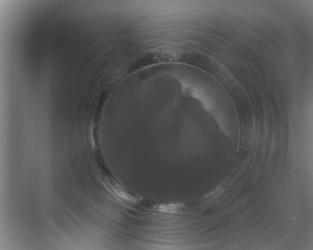 X0000070170134200606021107