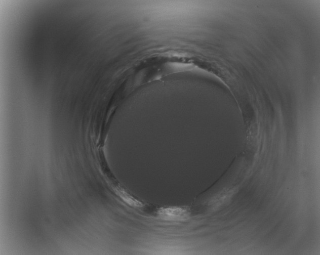 X0000070170137200606021107