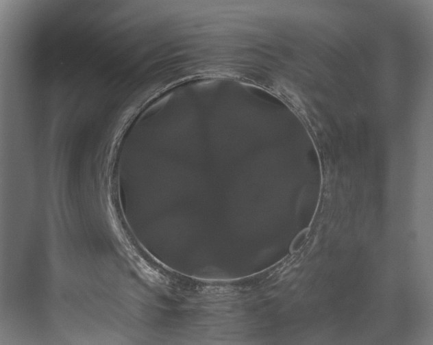 X0000070170145200606021106