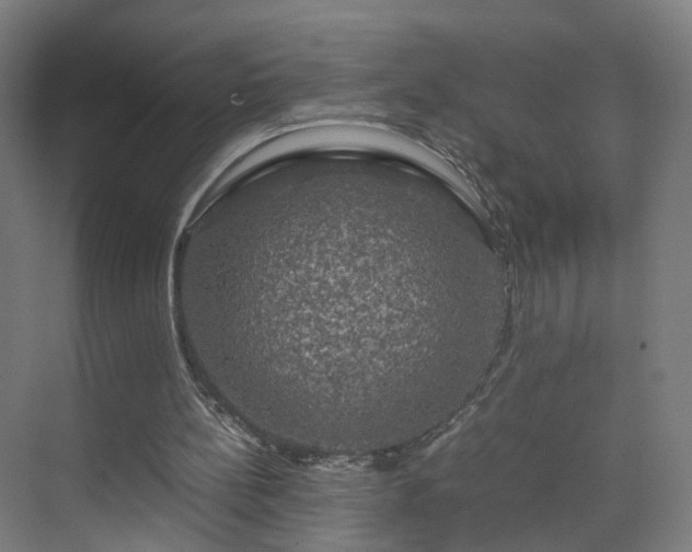 X0000070170148200606021106