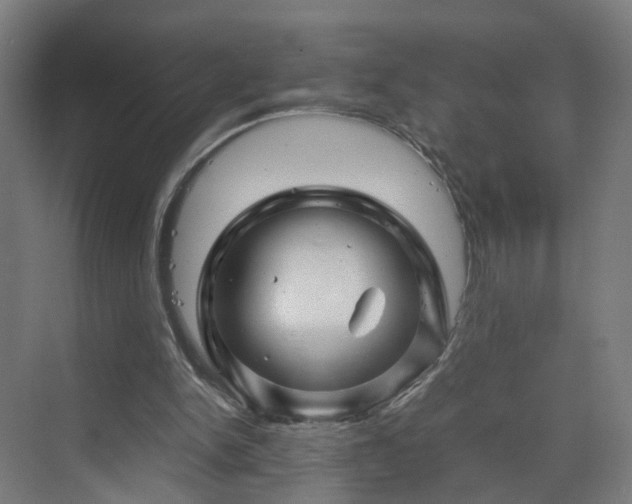 X0000070170150200606021106