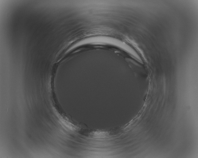 X0000070170154200606021106