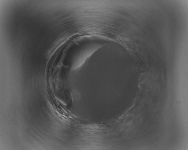 X0000070170194200606021106