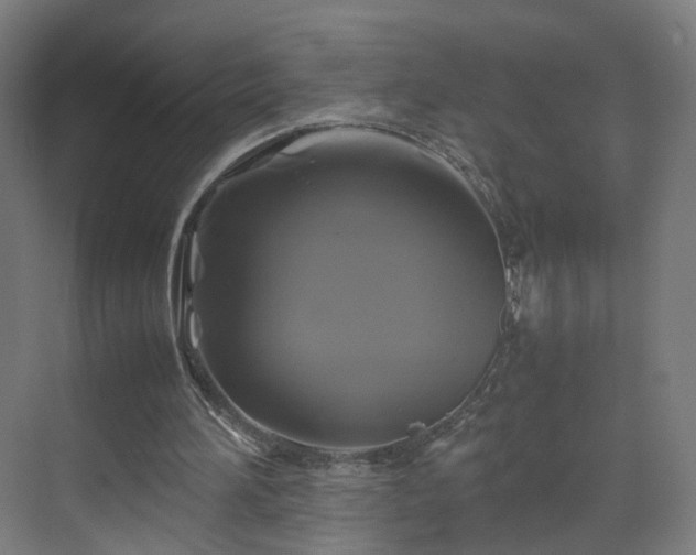 X0000070170196200606021106