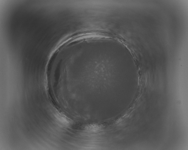 X0000070170198200606021106