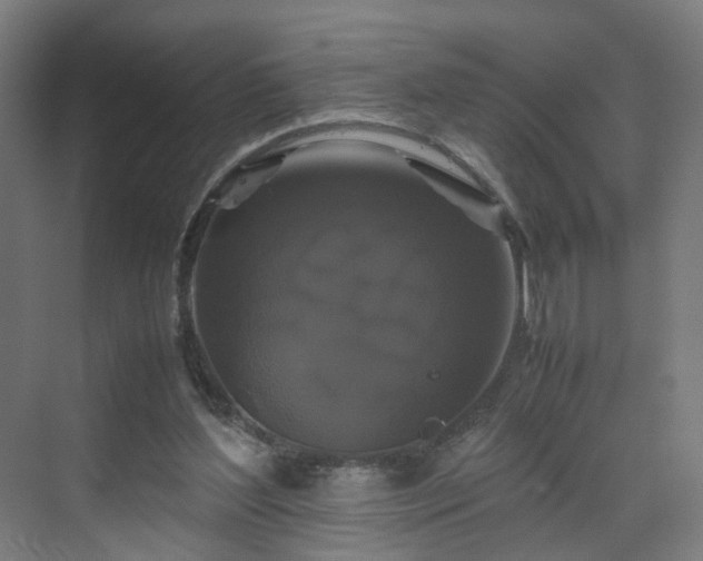X0000070170204200606021106