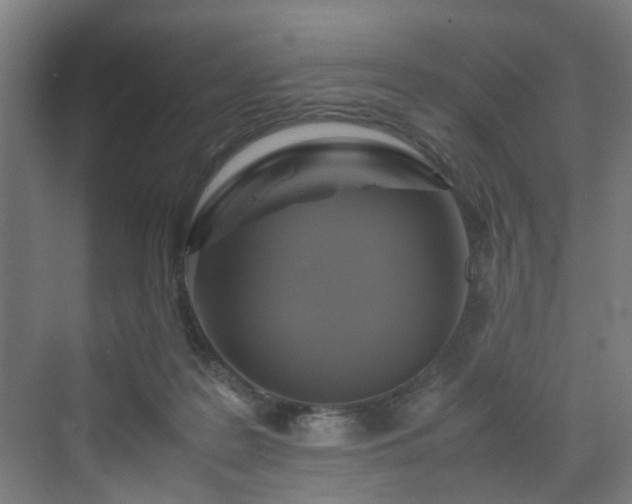 X0000070170219200606021106