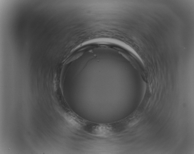 X0000070170223200606021105