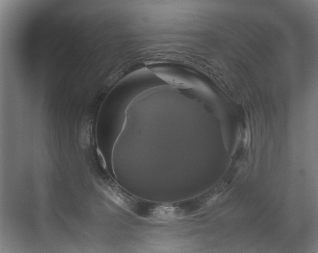 X0000070170227200606021105