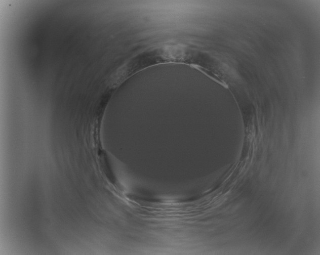 X0000070170233200606021105