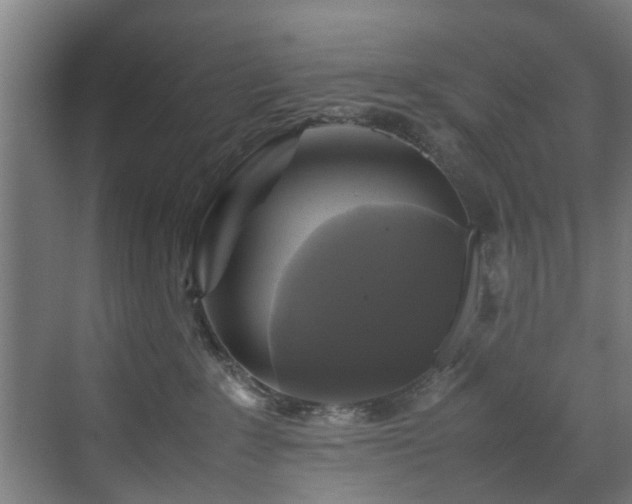 X0000070170235200606021105