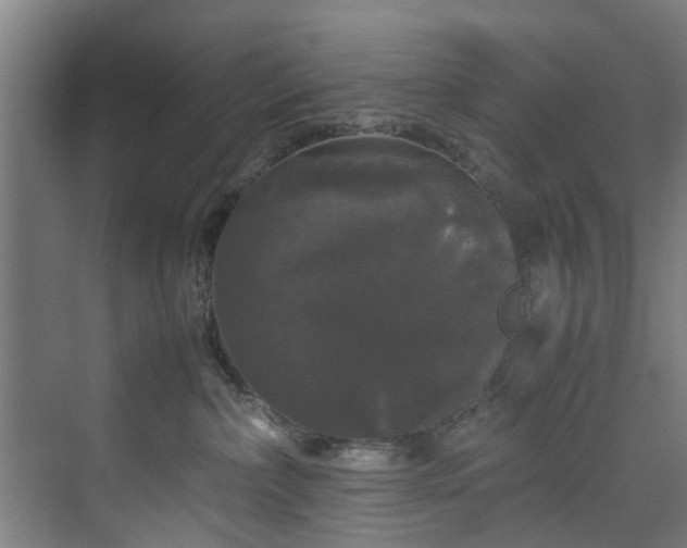 X0000070170236200606021105
