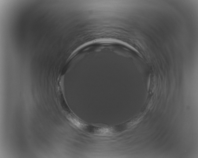 X0000070170237200606021105