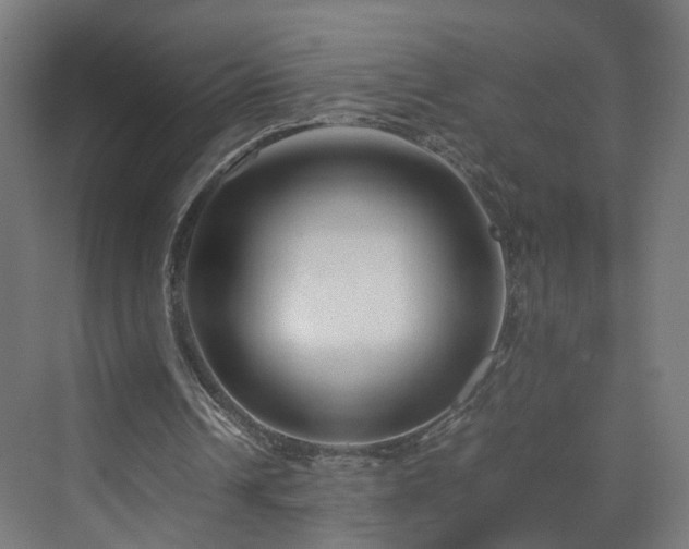 X0000070170242200606021104