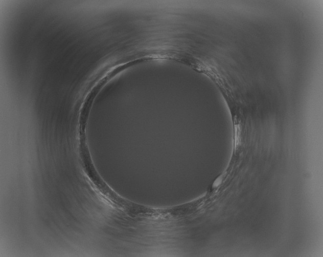 X0000070170243200606021104