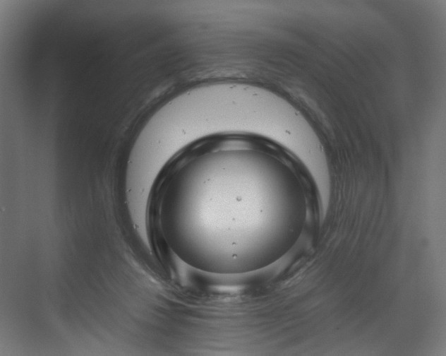 X0000070170260200606021105